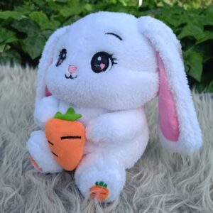 خرگوش هویج به دست